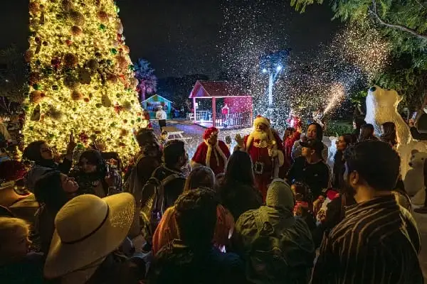Public winter wonderland experience